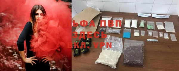 крисы Дмитриев