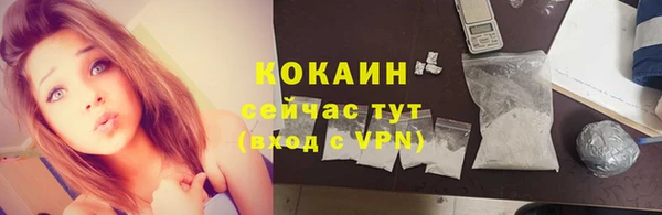 крисы Дмитриев