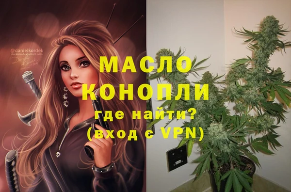 крисы Дмитриев