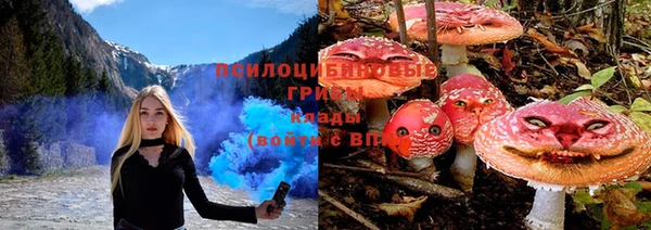 дурь Дмитров