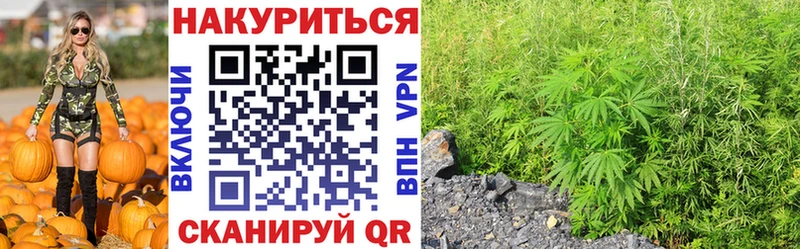 Канабис сатива  МЕГА ТОР  Красногорск  купить  